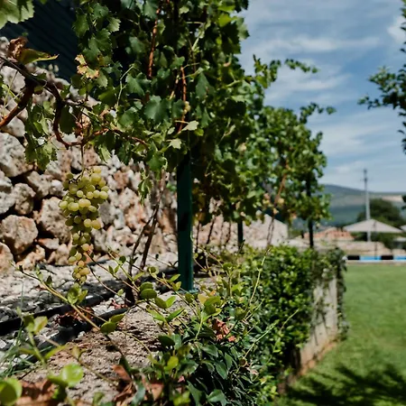 펜션 House Lastva Široki Brijeg